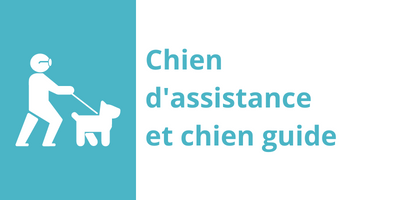 Chien d'assistance et chien guide