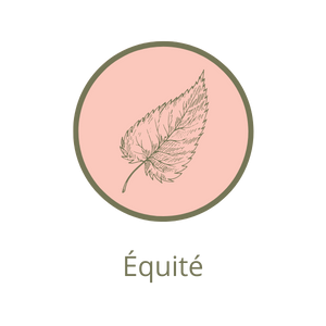 Équité