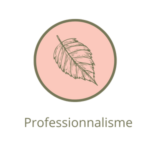 Professionnalisme
