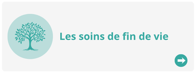Description de l’image