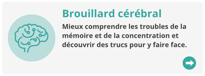Description de l&rsquo;image